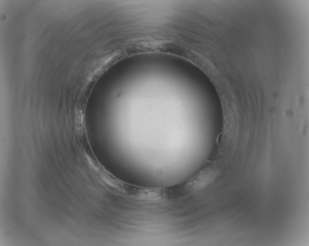 X0000052980624200507221329