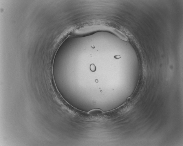 X0000052980625200507221328