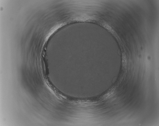 X0000052980626200507221328