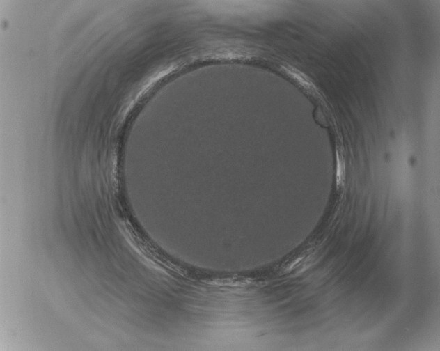 X0000052980627200507221328