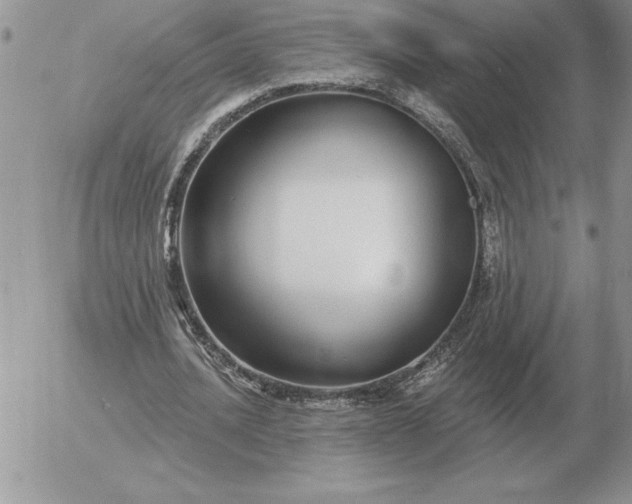 X0000052980628200507221328