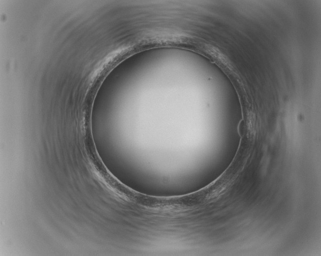 X0000052980629200507221328