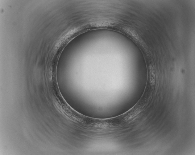 X0000052980631200507221328