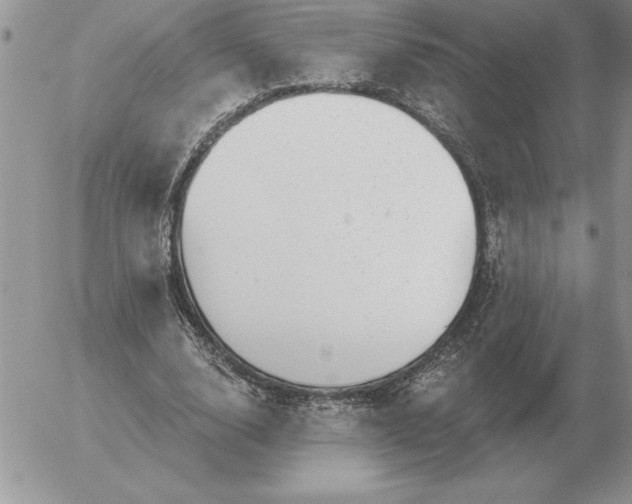 X0000052980632200507221328