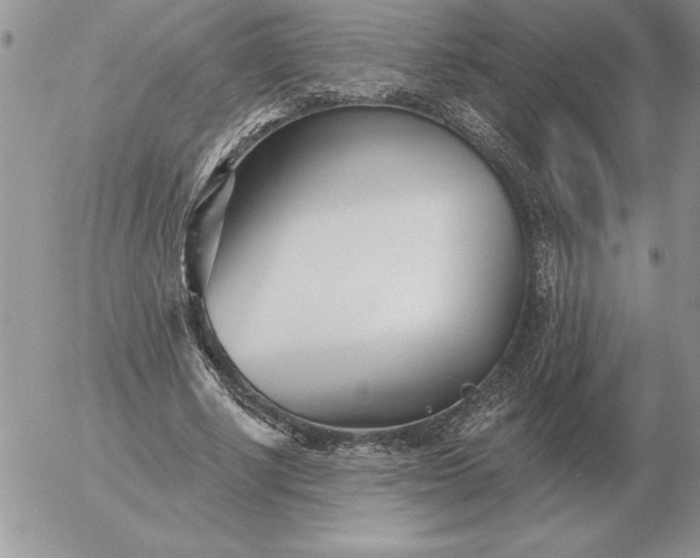 X0000052980634200507221328