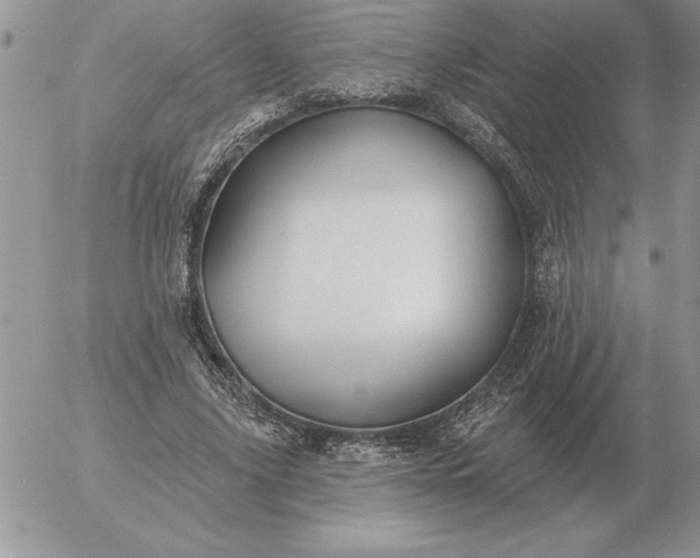 X0000052980635200507221328