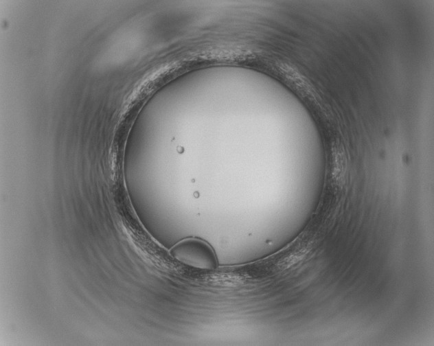 X0000052980636200507221328