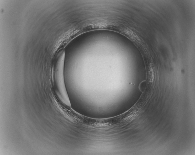 X0000052980638200507221328