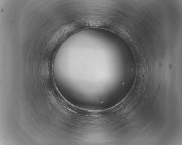 X0000052980639200507221328