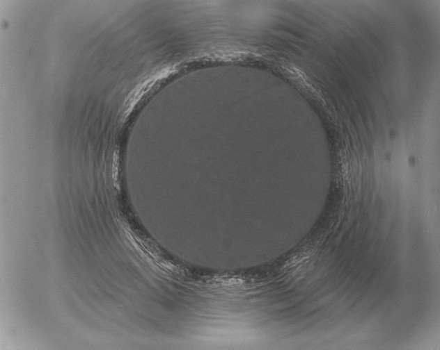 X0000052980640200507221328