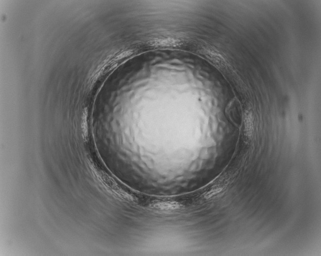 X0000052980642200507221328