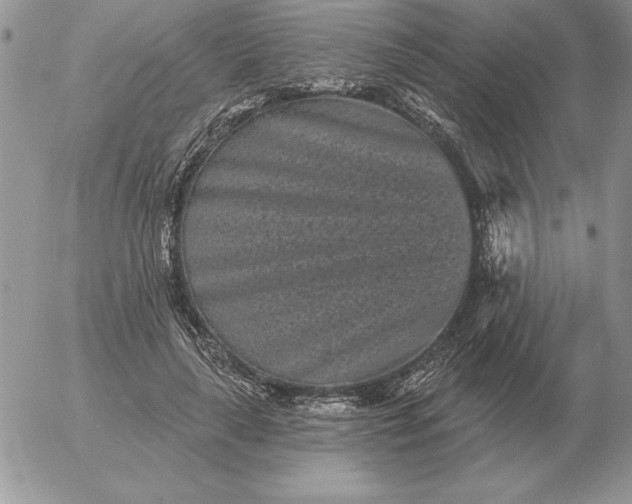 X0000052980643200507221328