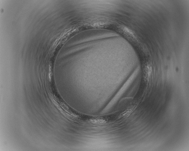 X0000052980644200507221328