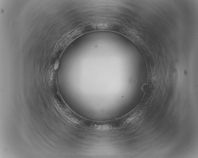 X0000052980645200507221329