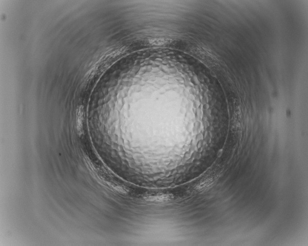 X0000052980646200507221329