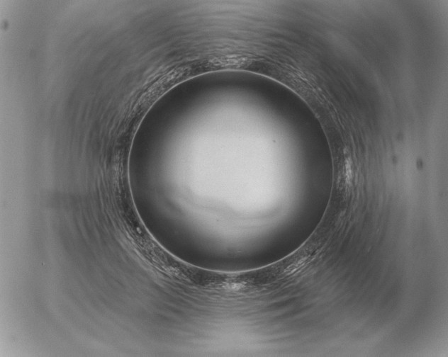 X0000052980647200507221329