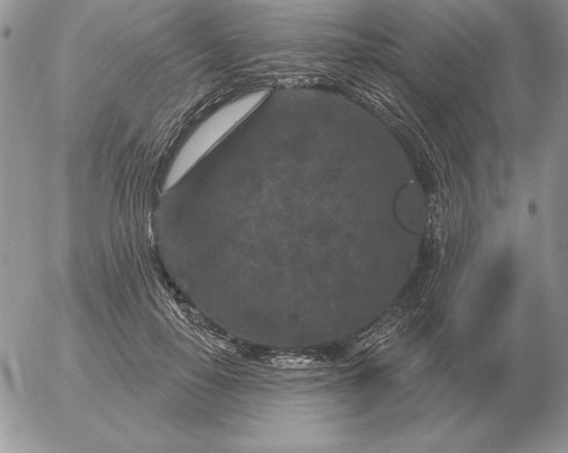 X0000052980650200507221329