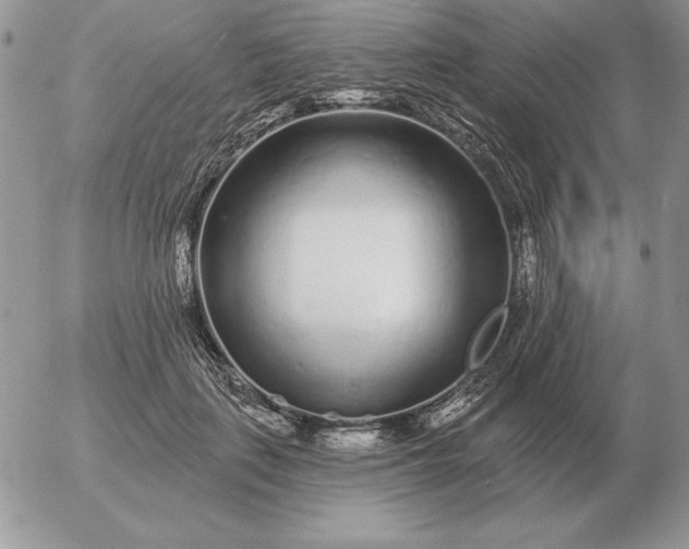 X0000052980651200507221329