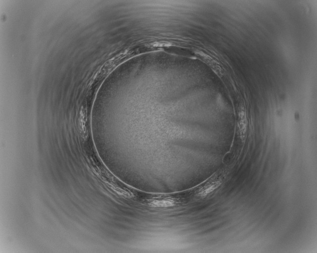 X0000052980653200507221329