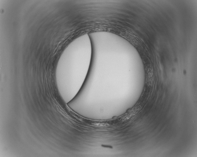 X0000052980654200507221329