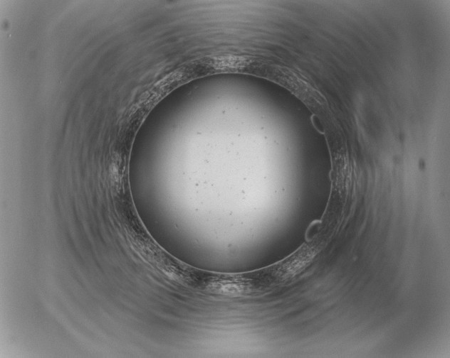 X0000052980655200507221329