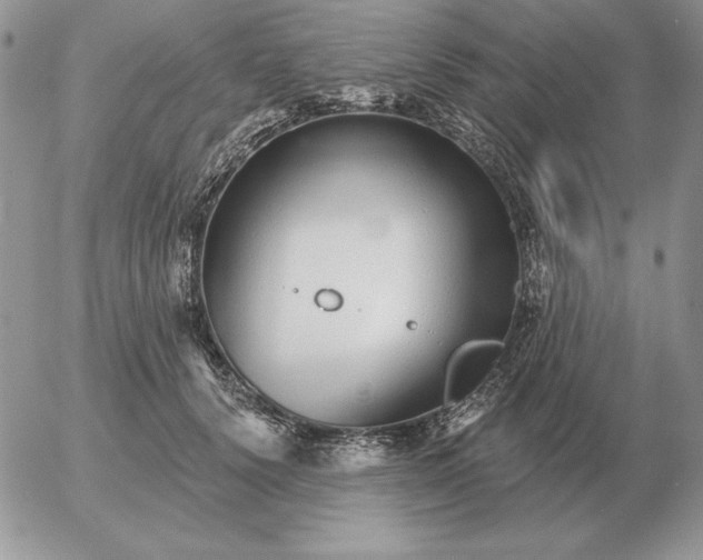 X0000052980656200507221329