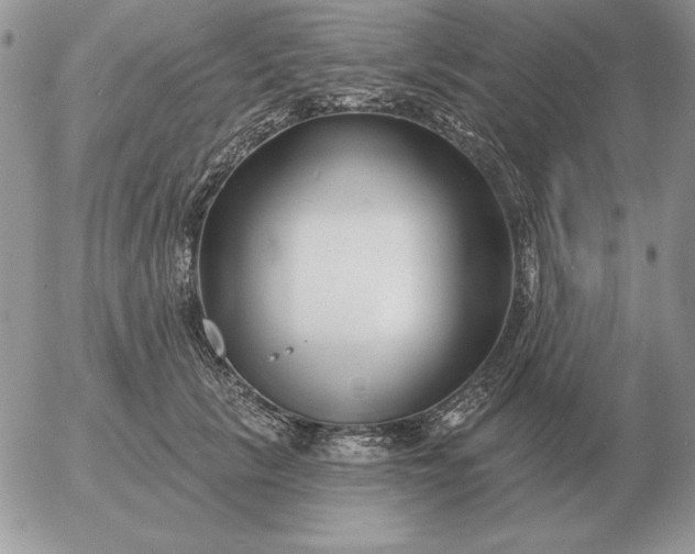 X0000052980657200507221329