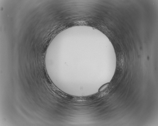 X0000052980658200507221329