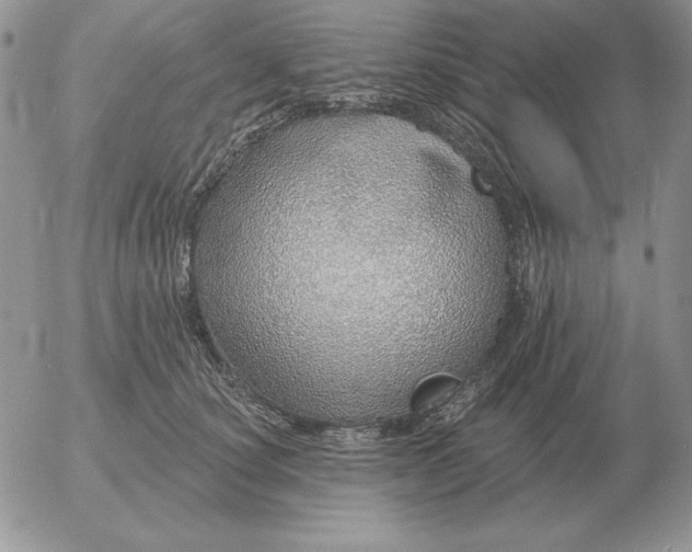 X0000052980660200507221329