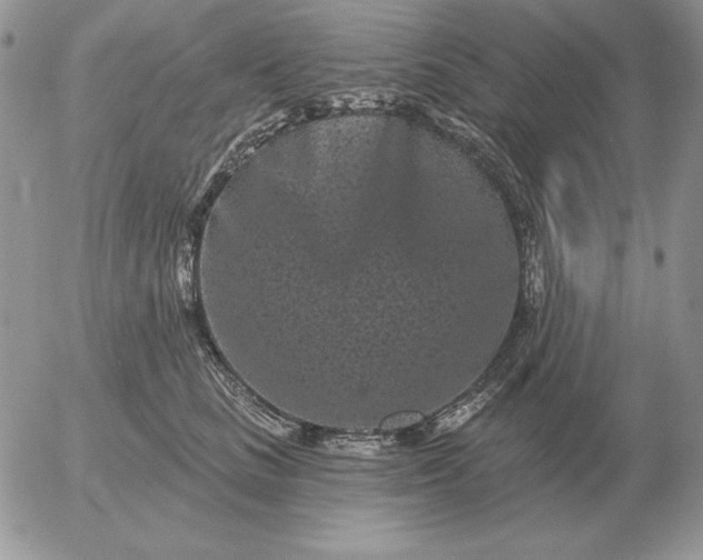 X0000052980661200507221329