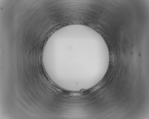 X0000052980662200507221329