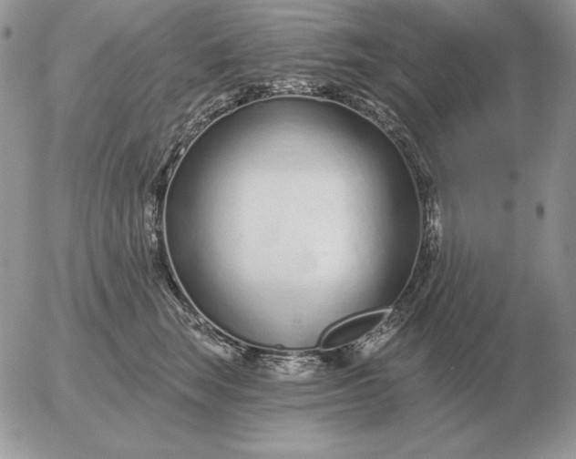 X0000052980663200507221329