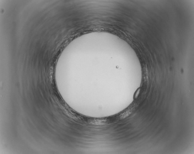 X0000052980664200507221329