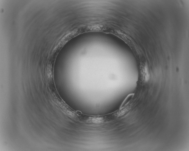 X0000052980665200507221329