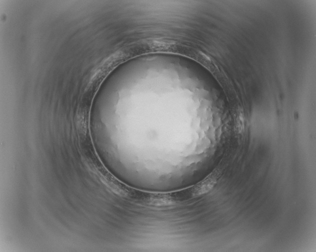 X0000052980666200507221329