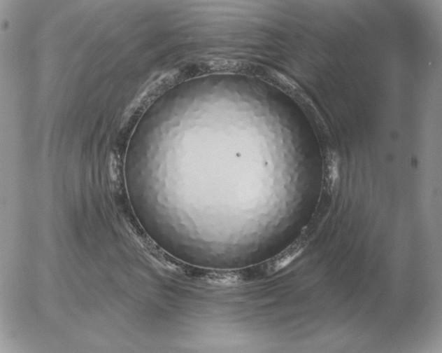 X0000052980667200507221329