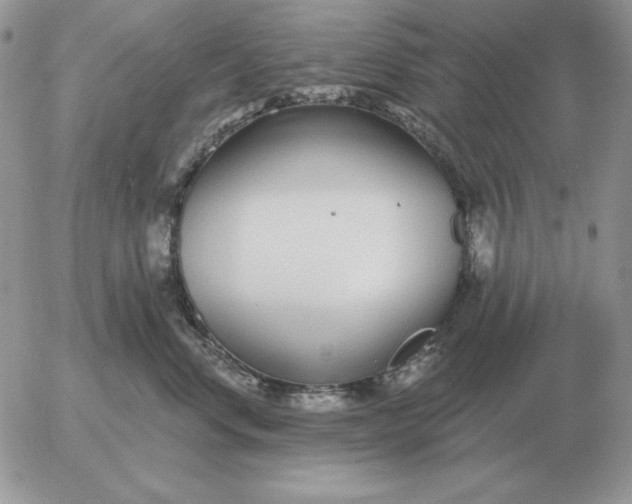 X0000052980668200507221329