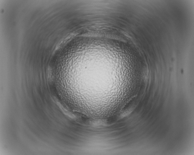 X0000052980670200507221329