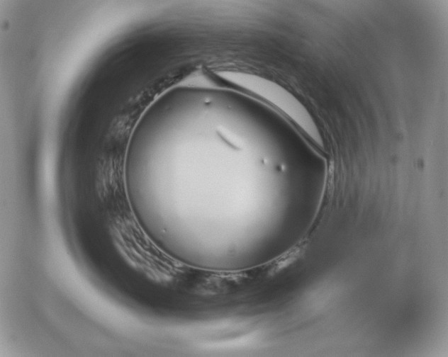 X0000052980671200507221329