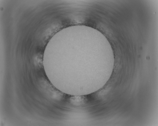 X0000052980672200507221329