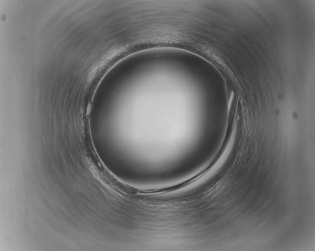 X0000052980677200507221328