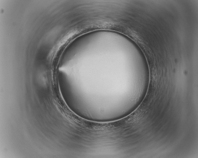 X0000052980679200507221328