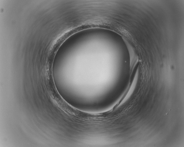 X0000052980680200507221328