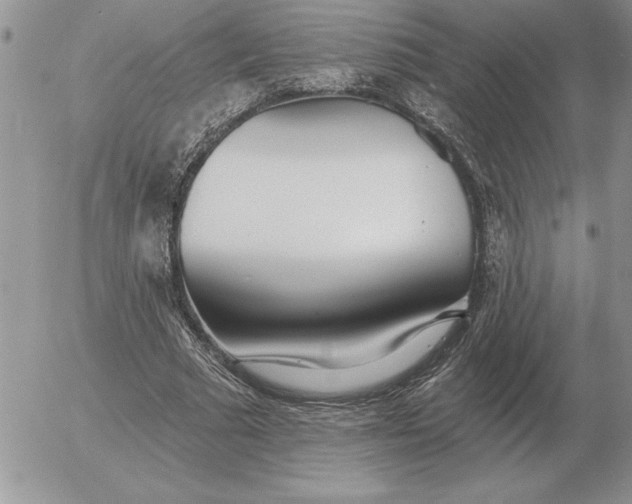 X0000052980681200507221328