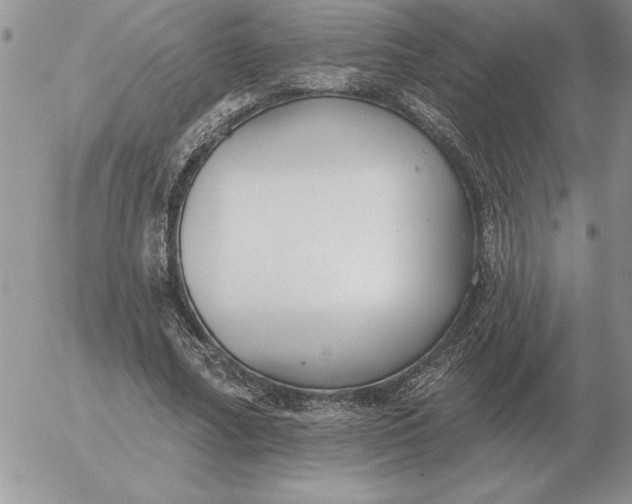 X0000052980682200507221328