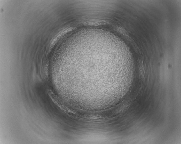 X0000052980683200507221328