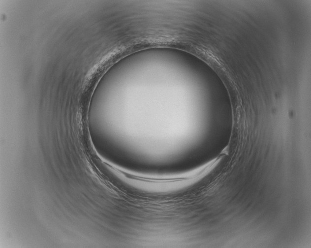 X0000052980684200507221328