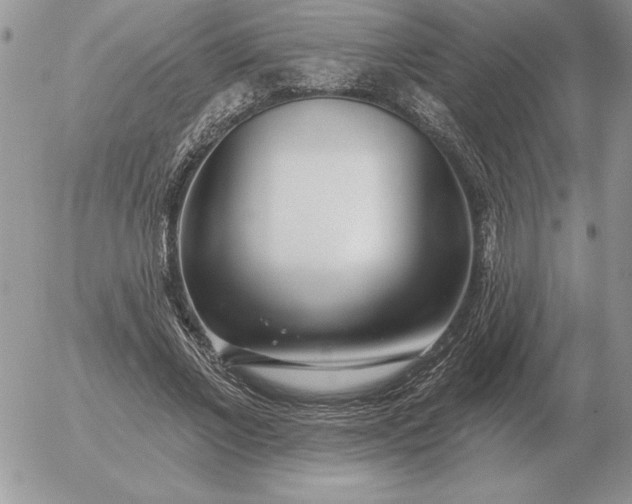 X0000052980685200507221328