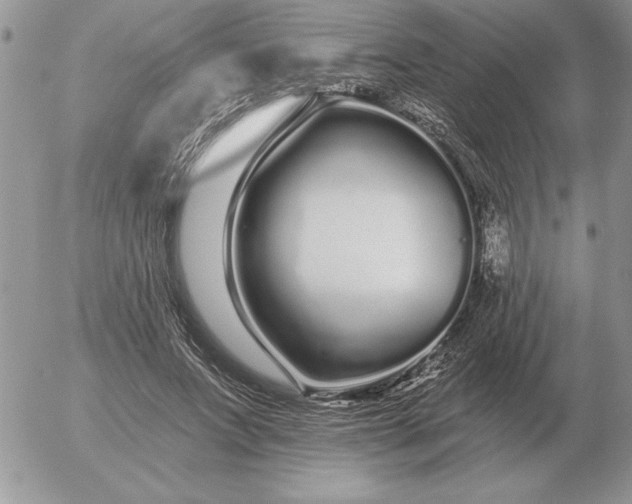 X0000052980687200507221328