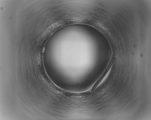 X0000052980689200507221328